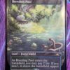 Breeding Pool Unfinity - Image 2