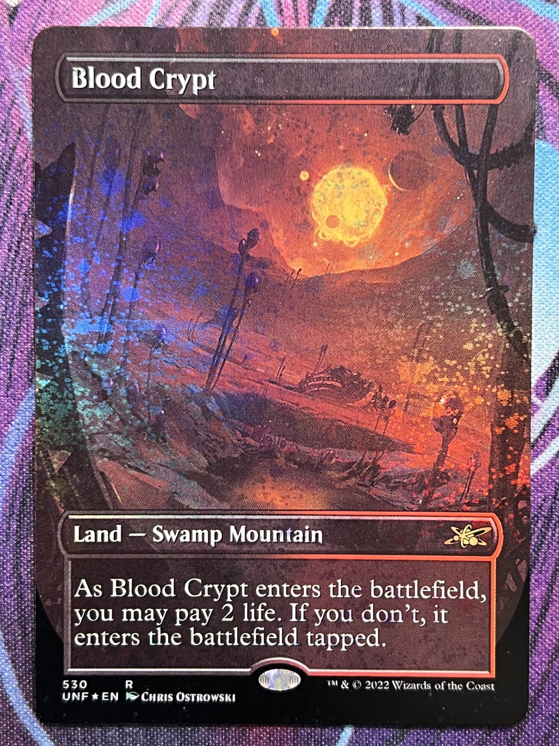 格安新品 専用品 mtg Blood Crypt Unfinity ギャラクシーfoil マジック 