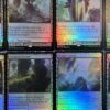 Foil Expedition Lands (EXP) Full Set