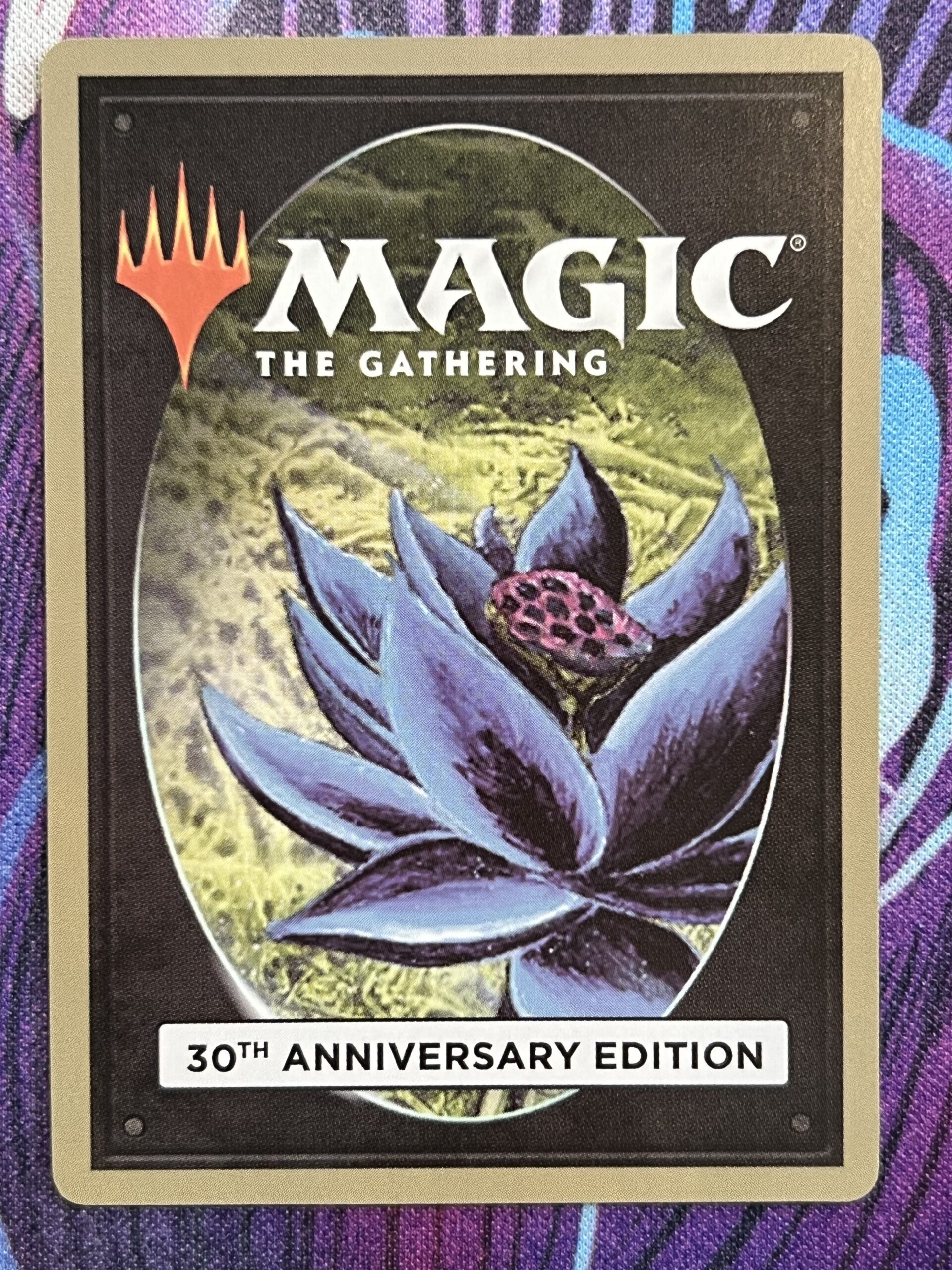 MTG 30th anniversary edition / scrubland | www.gamutgallerympls.com