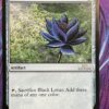 Black Lotus Modern Frame 30A
