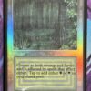 Bayou Beta English Foil