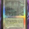 Bayou Beta English Foil - Image 2