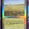Savannah Beta English Foil
