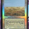 Scrubland Beta English Foil