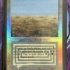 Scrubland Beta English Foil - Image 2