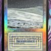 Tundra Beta English Foil