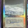 Tundra Beta English Foil - Image 2