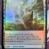 Breeding Pool EXP Foil