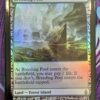 Breeding Pool EXP Foil - Image 2