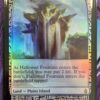Hallowed Fountain EXP Foil - Image 2