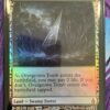 Overgrown Tomb EXP Foil - Image 2