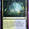 Misty Rainforest ZEN