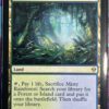 Misty Rainforest ZEN - Image 2