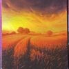 Plains UST Foil