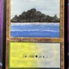 Tropical Island Old Frame 30A