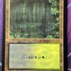 Bayou Old Frame 30A
