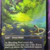 Breeding Pool UNF Foil - Image 2