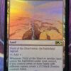 Field of the Dead M20 Foil