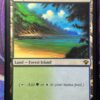 Tropical Island VMA - Image 2