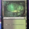 Bayou VMA - Image 2