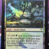 Breeding Pool DIS Foil - Image 2