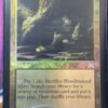 Bloodstained Mire ONS Foil - Image 2