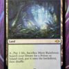 Misty Rainforest MH2