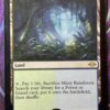 Misty Rainforest MH2 - Image 2