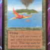 Birds of Paradise Beta