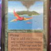 Birds of Paradise Beta - Image 2