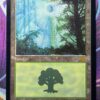 Forest (Guru)