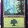 Forest (Guru) - Image 2