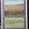 Savannah Unlimited - Image 2