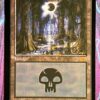 Swamp (Guru)