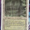 Bayou Revised