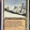 Taiga Revised - Image 2