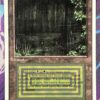 Summer Magic Dual Lands Bundle* - Image 9