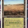 Summer Magic Dual Lands Bundle* - Image 7
