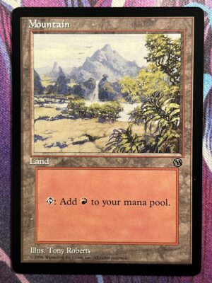 Mountain PARL #4 Arena Basic