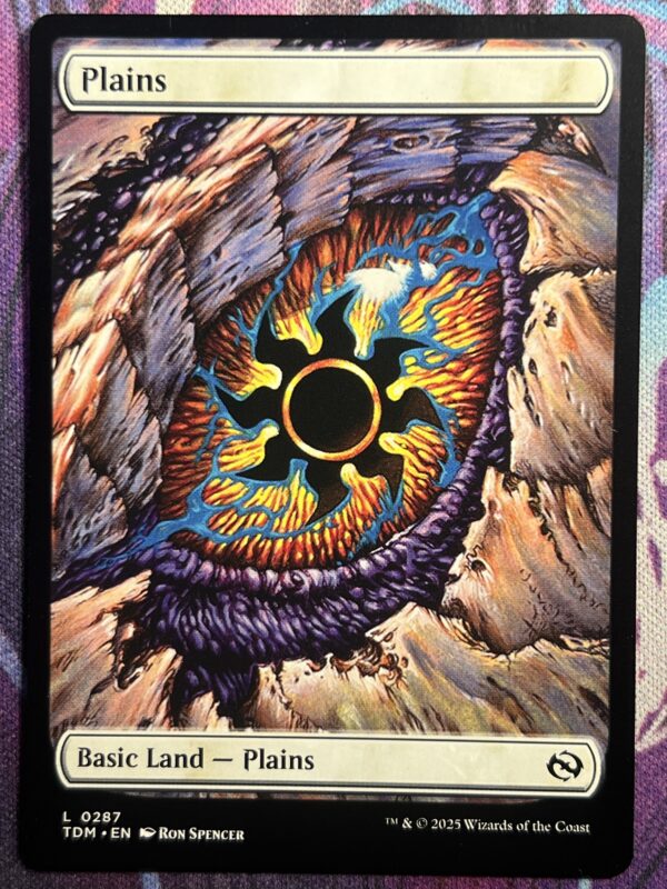 Plains TDM #287